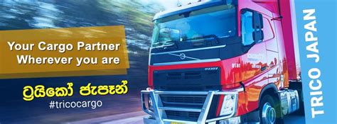 Trico International Forwarders Limited .